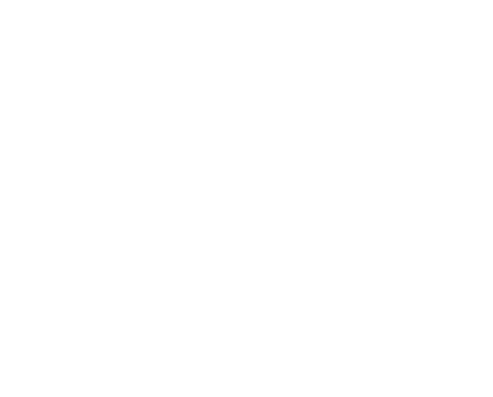 STAYNAVI VALUE DRIVE